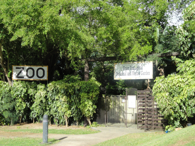 Eintritt in einen Zoo markiert von einem "Zoo"-Schild, mit saftig grünem Gras, hohen Bäumen, einem hellblauen Himmel, einem Vordergrundpfahl und einem Maschendrahtzaun im Hintergrund.