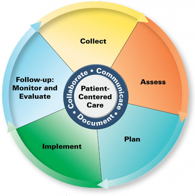 Ein Kreisdiagramm mit der Überschrift 'patientenorientierte Versorgung' mit vier farbigen Abschnitten, jeweils mit einem spezifischen Aspekt der Versorgung beschriftet.