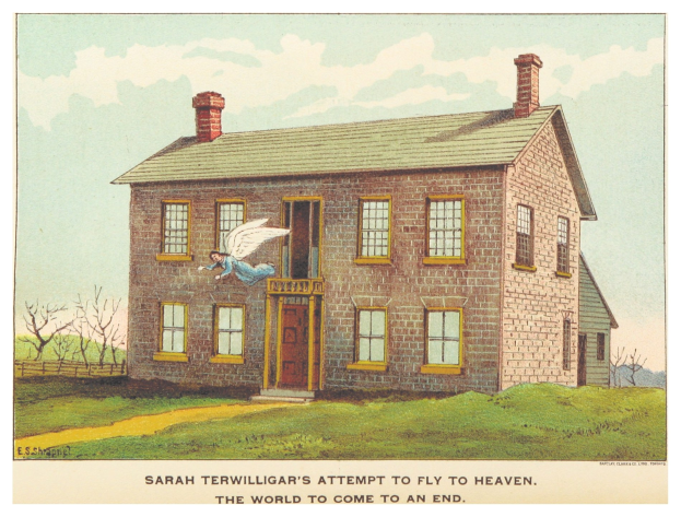Plakat, das Sarah Terwilligers Versuch zeigt, in den Himmel zu fliegen, mit einem zentralen Haus umgeben von Bäumen und dem Text 'Die Welt geht zu Ende' unten.