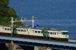 Ein Zug fährt über eine Brücke mit Strommasten und -leitungen daneben, Bäume auf der linken Seite und einen See im Hintergrund.