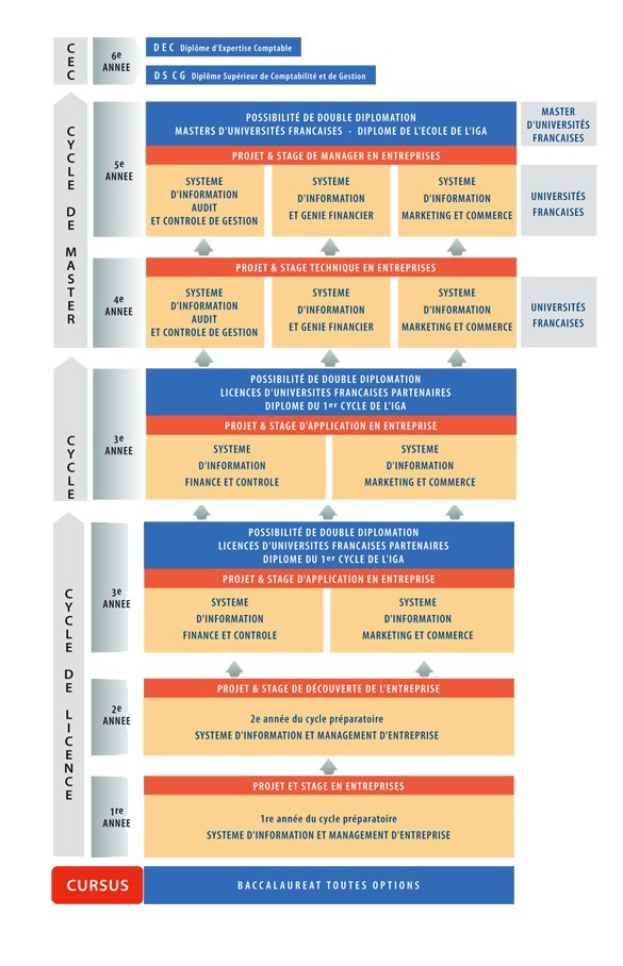 Diagramm, das die organisatorische Struktur eines Unternehmens mit interconnected boxes darstellt, die verschiedene Stufen des Geschäfts growths and developments darstellen, begleitet von beschreibendem Text.