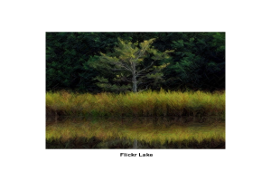 Eine grasbewachsene Fläche mit einigen Bäumen und Text am unteren Rand des Bildes.