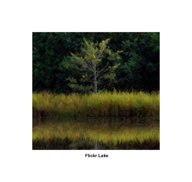 Eine grasbewachsene Fläche mit einigen Bäumen und Text am unteren Rand des Bildes.