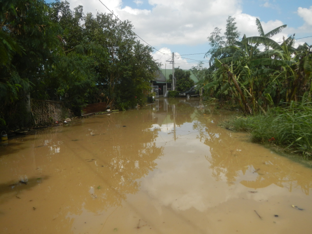Überschwemmte Landstraße mit Wasser auf der Straße, umgeben von Pflanzen und Bäumen, ein geparktes Auto auf der rechten Seite und beschädigte Häuser im Hintergrund unter einem bewölkten Himmel.