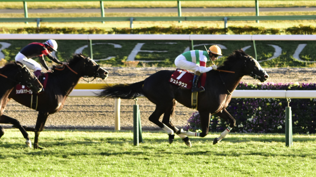 Zwei Jockeys in Helmen auf Pferden, die eine Bahn entlangrasen, umgeben von Grün, mit einem Geländer und einer Tafel im Hintergrund.
