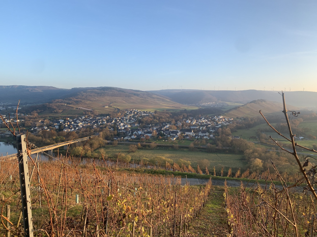 Eine malerische Aussicht auf das Rheintal von einem Hügel aus, mit grünem Laub, Häusern und einer fernen Brücke über den Fluss gegen einen blauen Himmel.