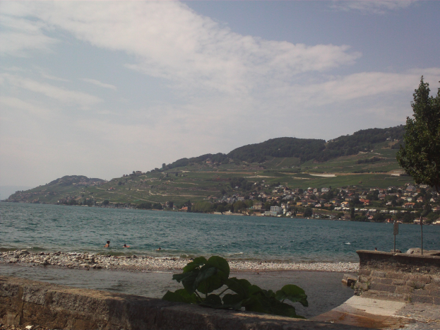 Menschen, die in einem Gewässer schwimmen, umgeben von Steinen, Pflanzen, einer Wand, einem Pfahl, Bäumen, Häusern, Hügeln und einem bewölkten Himmel.