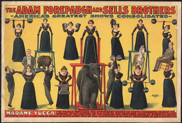 Plakat für die Show von Adam Forepaugh und Sells Brothers mit Performern auf Hockern und einem Elefanten in der Mitte sowie Werbetext.