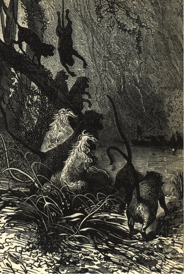 Alte Werbeplakatabbildung mit einem Löwenkopf mit wildem Ausdruck und wallender Mähne, mittig mit dem Text 'Löwe'.