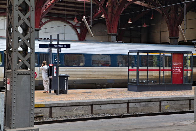 Ein Zug fährt auf einem Bahnsteig ein, mit einer Person in der Nähe, einem Müllcontainer, Pfosten, Informationsschildern und Deckenleuchten.